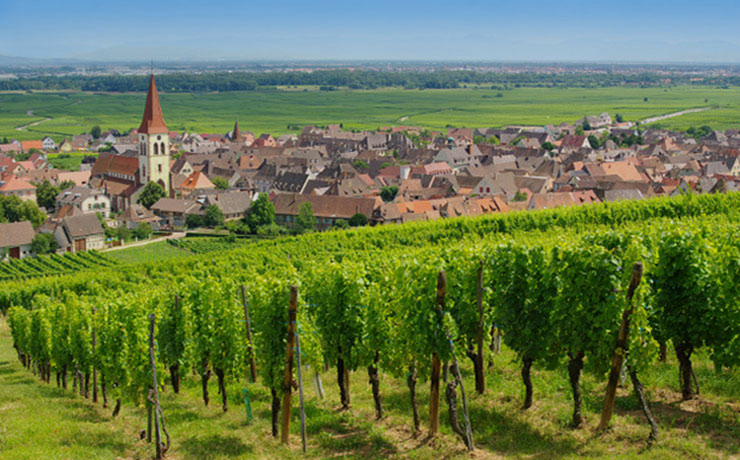 routes-des-vins-dalsace